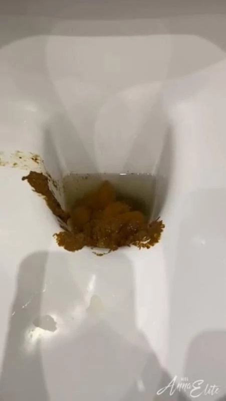 A big pile of shit in the toilet. P1 - HD (2024)